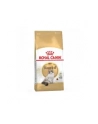 Karma Royal Canin FBN Ragdoll (2 kg ) - nr 4