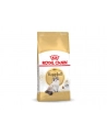 Karma Royal Canin FBN Ragdoll (2 kg ) - nr 5
