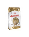 royal canin FBN Bengal 10 kg NEW! - nr 1
