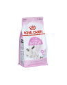 royal canin FHN Baby Cat 36 0 4 kg - nr 2