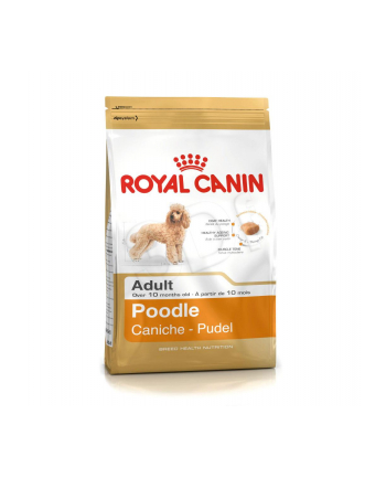 Karma Royal Canin SHN Breed Poodle (1 50 kg ) nr 2