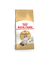 Karma Royal Canin FBN Ragdoll (0 40 kg ) - nr 5