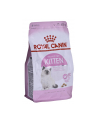 royal canin FHN Kitten 0 4 kg - nr 2