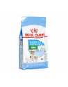 Karma Royal Canin SHN Mini Starter M - nr 1