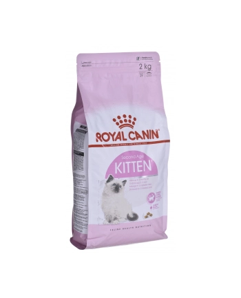 royal canin FHN Kitten 2 kg nr 1