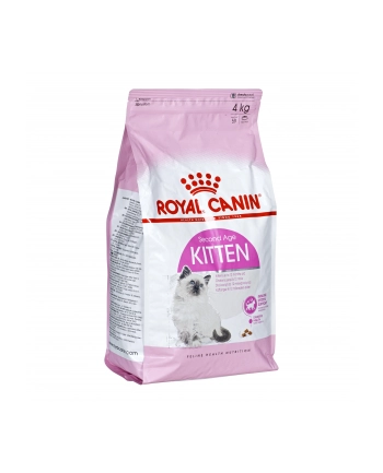 Karma Royal Canin FHN Kitten (4 kg ) nr 1