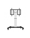 Stojak NEWSTAR PLASMA-M2500TSILVER (100 ) - nr 5