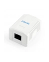 Gniazdo GEMBIRD NCAC-1U5E-01 (RJ-45; kat. 5e; UTP; kolor biały) - nr 1