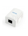 Gniazdo GEMBIRD NCAC-1U5E-01 (RJ-45; kat. 5e; UTP; kolor biały) - nr 2