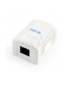Gniazdo GEMBIRD NCAC-1U5E-01 (RJ-45; kat. 5e; UTP; kolor biały) - nr 1