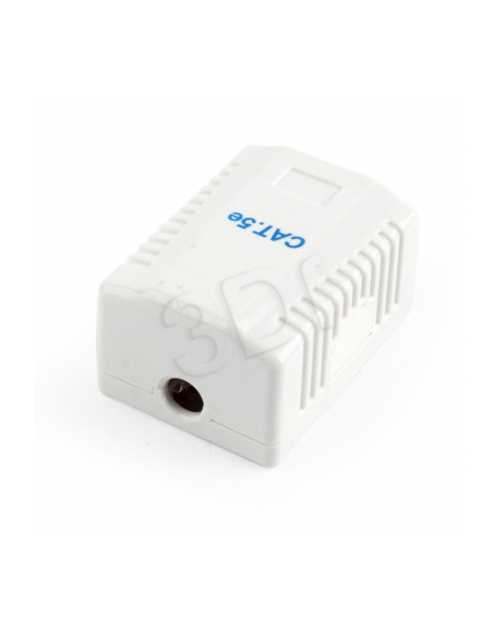 Gniazdo GEMBIRD NCAC-1U5E-01 (RJ-45; kat. 5e; UTP; kolor biały) główny