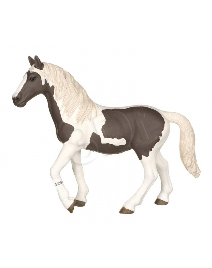 Schleich Pinto Klacz SLH 13830 główny