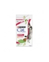 purina nestle Karma PURINA Cat Chow Special Care UTH 15 - nr 4