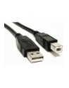 Kabel Akyga AK-USB-18 (USB M - USB 2.0 typu B M; 5m; kolor czarny) - nr 2