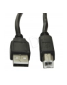 Kabel Akyga AK-USB-18 (USB M - USB 2.0 typu B M; 5m; kolor czarny) - nr 3