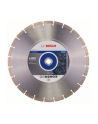 Tarcza diamentowa Professional for STONE 350 BOSCH - nr 2