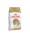 Karma Royal Canin Sphynx Adult (10 kg ) - nr 2