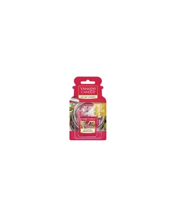 Zapach YANKEE home  (Red Raspberry; 10g)