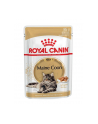 Karma Royal Canin FBN Maine Coon  (0 09 kg  ) - nr 1