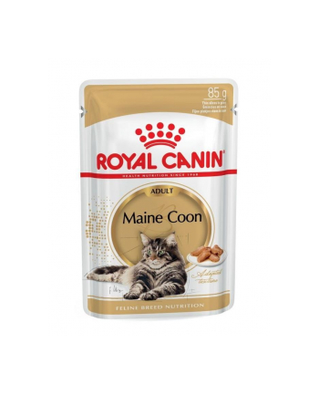 Karma Royal Canin FBN Maine Coon  (0 09 kg  )