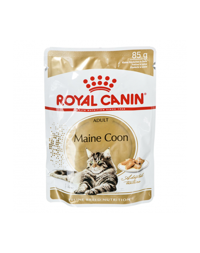 Karma Royal Canin FBN Maine Coon  (0 09 kg  ) główny