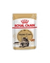 Karma Royal Canin FBN Maine Coon  (0 09 kg  ) - nr 1
