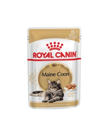 Karma Royal Canin FBN Maine Coon  (0 09 kg  ) nr 2
