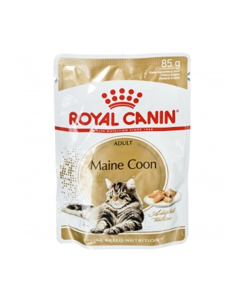 Karma Royal Canin FBN Maine Coon  (0 09 kg  ) nr 1