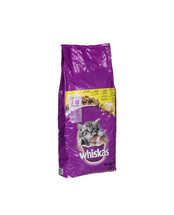 Karma whiskas Junior z Kurczakiem (14 kg )