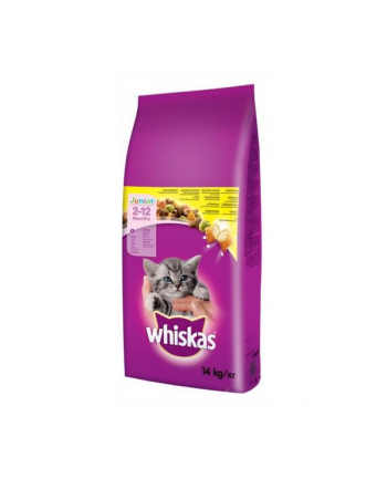 Karma whiskas Junior z Kurczakiem (14 kg )