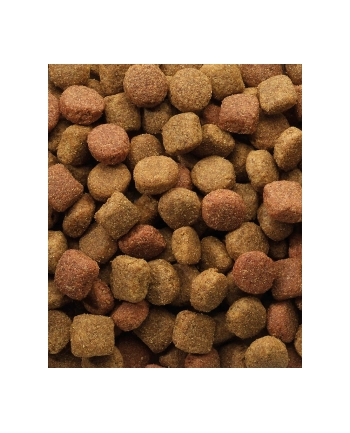 Karma VERSELE-LAGA Classic Dog Duo Krok (20 kg ) nr 1
