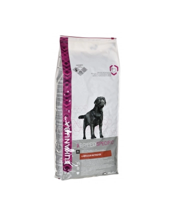 Karma EUKANUBA Breeds Nutrition Labrador Retriever Adult (12 kg ) nr 1