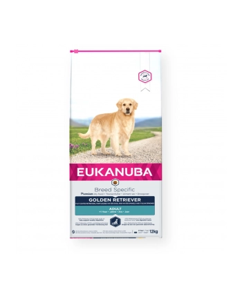 Karma EUKANUBA Golden Retriever Chicken (12 kg ) nr 2
