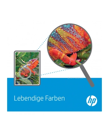 hewlett-packard Toner HP CF360A (oryginał ; 6 000 stron; czarny) nr 2