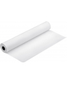 Papier Epson Roll Double Weight Matte 24'' x 25m - nr 9