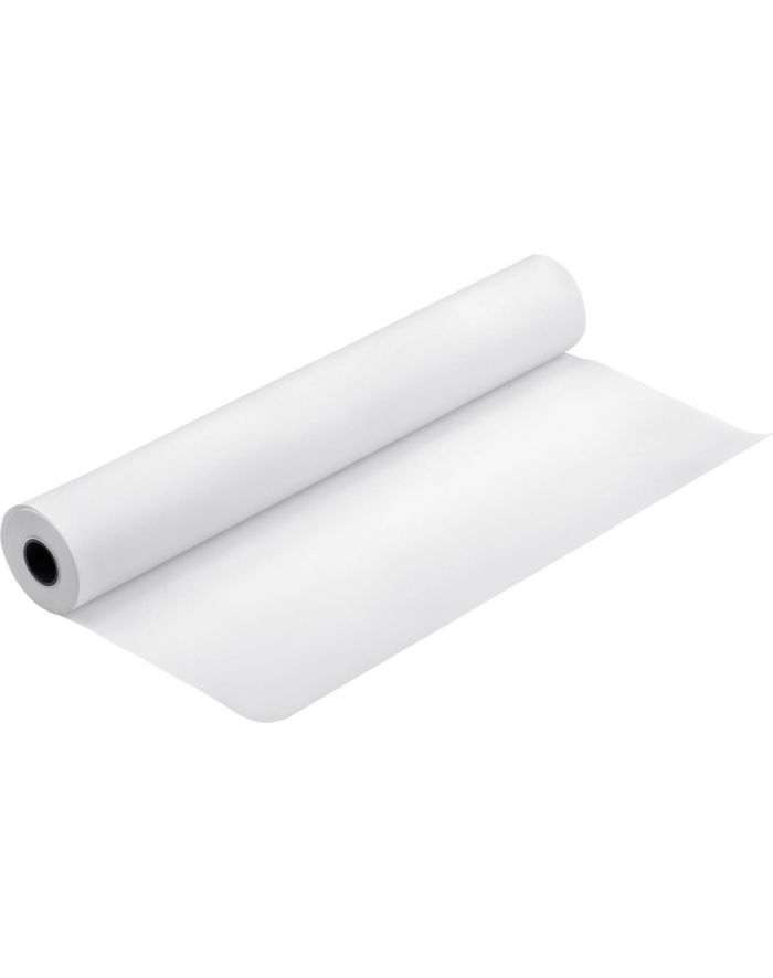 Papier Epson Roll Double Weight Matte 24'' x 25m główny