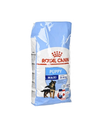 Karma Royal Canin SHN Maxi Puppy (15 kg ) nr 1