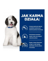 Karma Hill's PD Diet Canine c/d (12 kg ) - nr 7