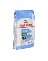 Karma Royal Canin SHN Mini Puppy (8 kg ) - nr 1