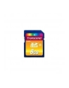 Pamięć SECURE DIGITAL TRANSCEND SDHC10 Card 8GB TS8GSDHC10 Class 10 - nr 31