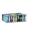 Wkład atramentowy Epson Czarny Stylus do  7900/9900 - light (350ml) - nr 12