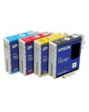 Wkład atramentowy Epson Czarny Stylus do  7900/9900 - light (350ml) - nr 2