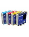 Wkład atramentowy Epson Czarny Stylus do 7900/9900 - light (700ml) - nr 1