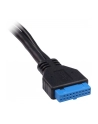 Czytnik kart Inter-Tech CI-01 88884054 (Wewnętrzny; CF  CFI  CFII  Extreme  MD  Memory Stick Micro M2  MicroSD  MMC  MS  SD  SDHC  SDXC  TF) - nr 5