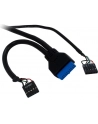Czytnik kart Inter-Tech CI-01 88884054 (Wewnętrzny; CF  CFI  CFII  Extreme  MD  Memory Stick Micro M2  MicroSD  MMC  MS  SD  SDHC  SDXC  TF) - nr 8