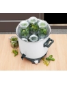 clatronic Warnik EKA 3338 25l - nr 5