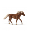 schleich SLH 42481 Trening zręcznościowy dla kucyków - nr 20