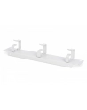 Organizer kablowy poziomy typu RING 10 cali (254mm) 1U 44x254x60mm, szary (RAL 7035) - nr 3