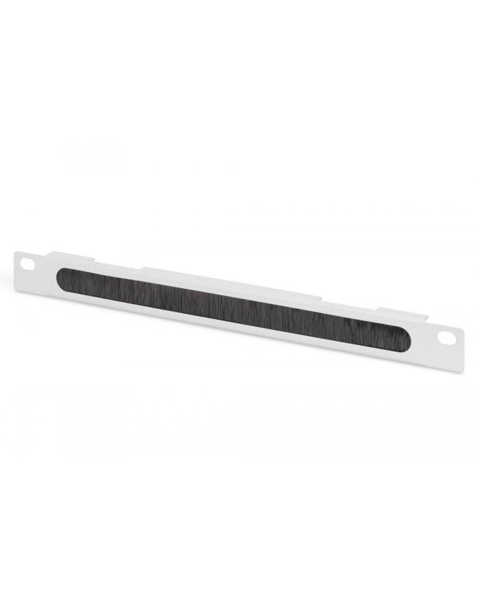 Organizer kablowy poziomy z przepustem szczotkowym 10 cali (254mm) 0.5U 22x254x12mm, szary (RAL 7035) główny