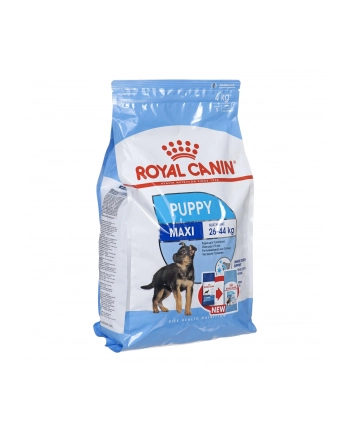Karma Royal Canin SHN Maxi Puppy (4 kg ) nr 1